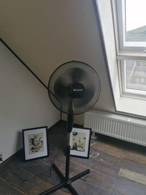 Schoene Wohnung Im Jugendstilhaus Im Weltkulturerbe Bacharach Dış mekan fotoğraf